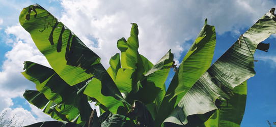 Similar image 21773086