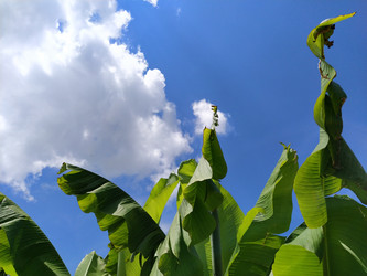 Similar image 21773088