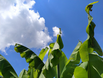 Similar image 21773090