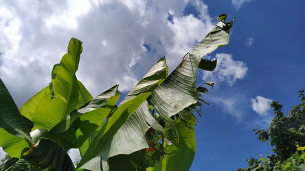 Similar image 21773092