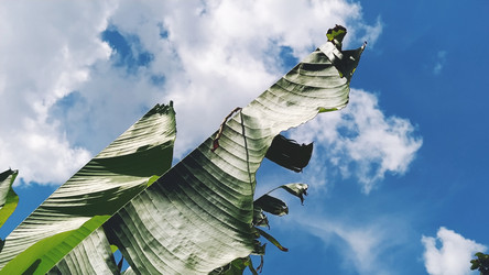 Similar image 21773096