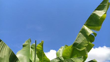 Similar image 21773264