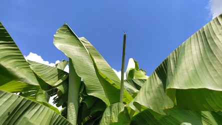 Similar image 21773266