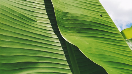 Similar image 21773268