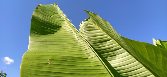 Similar image 21773274