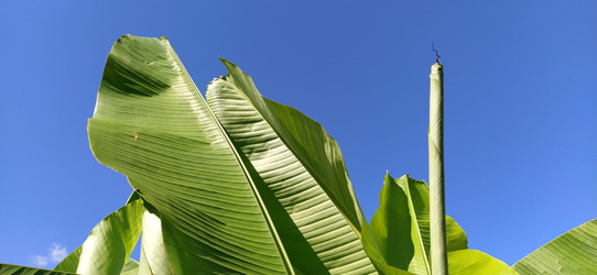 Similar image 21773276