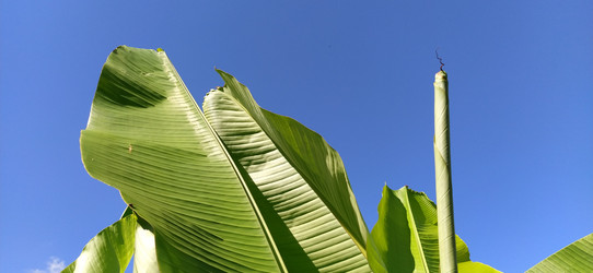 Similar image 21773278