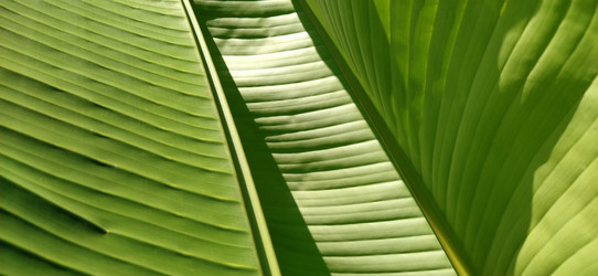 Similar image 21773280