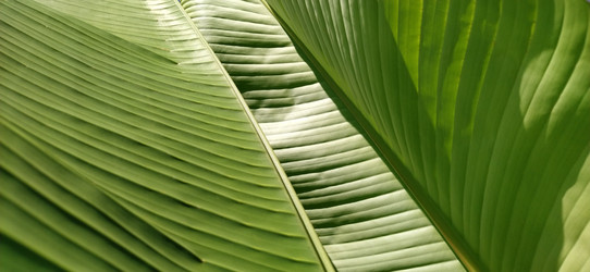 Similar image 21773282