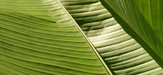 Similar image 21773290