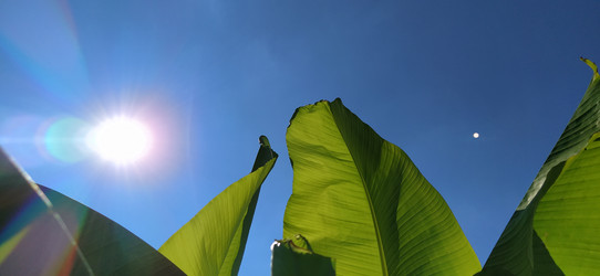 Similar image 21773295