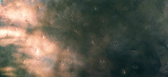 Similar image 21773296