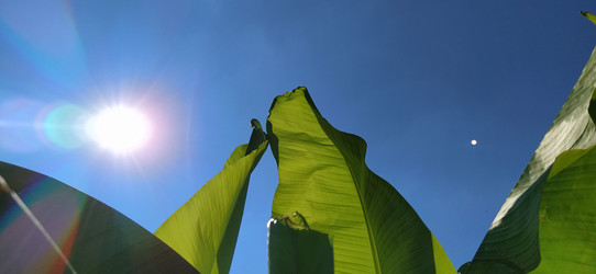 Similar image 21773297