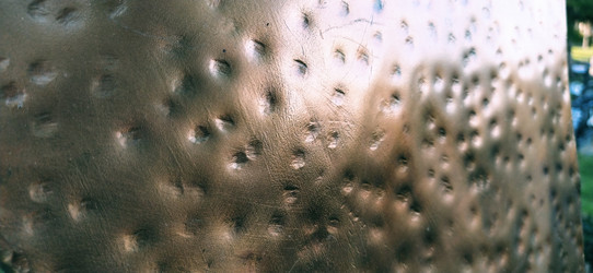 Similar image 21773299