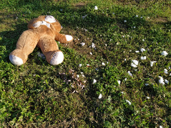 Similar image 21773302