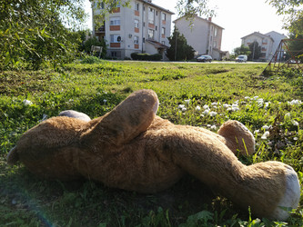 Similar image 21773323