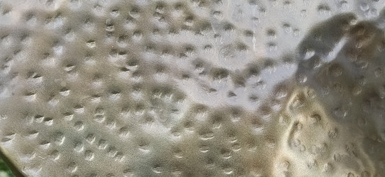 Similar image 21773324