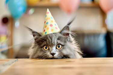 Similar image 21772654