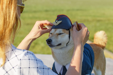 Similar image 21772777