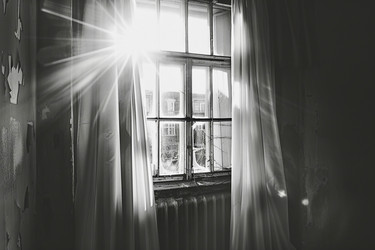 Similar image 21772661