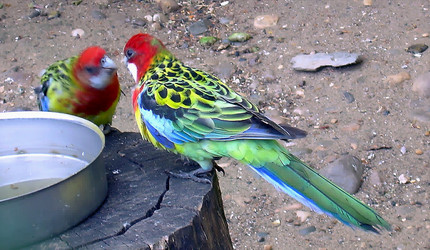 Similar image 21772539