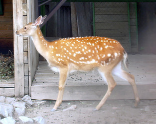 Similar image 21772542