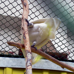 Similar image 21772543