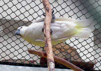 Similar image 21772544