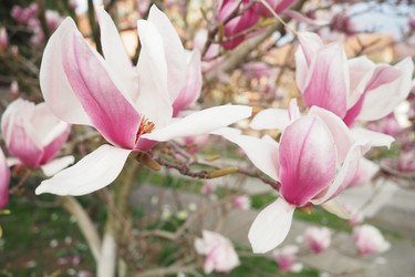 Similar image 21773100