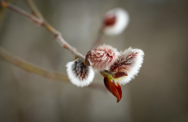 Similar image 21773830