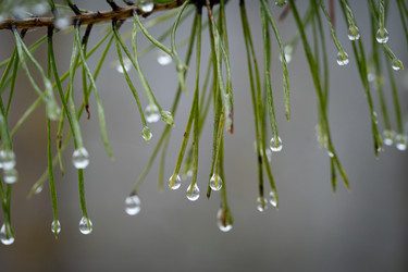 Similar image 21773831