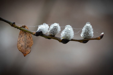 Similar image 21773833