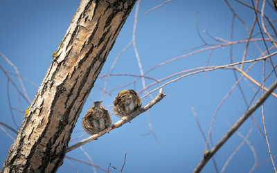 Similar image 21773834