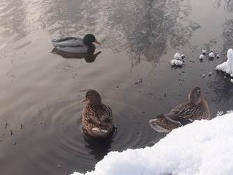 Similar image 21772192