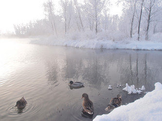 Similar image 21772195