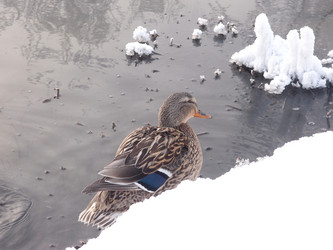 Similar image 21772196