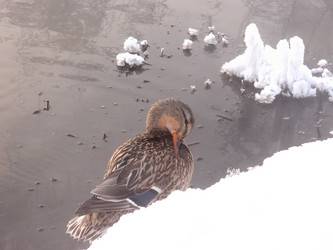 Similar image 21772197