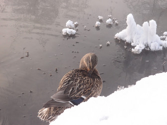 Similar image 21772199