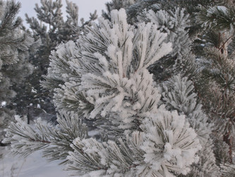 Similar image 21772206