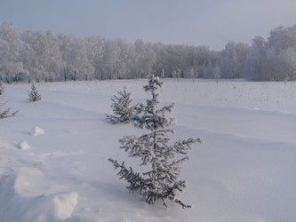 Similar image 21772208