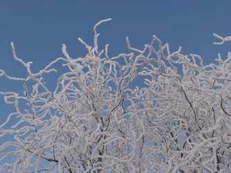 Similar image 21772215