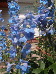 Similar image 21772218