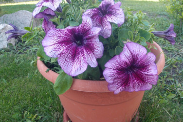 Similar image 21772219