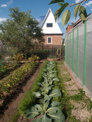 Similar image 21772221