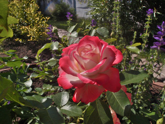 Similar image 21772222