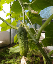 Similar image 21772224