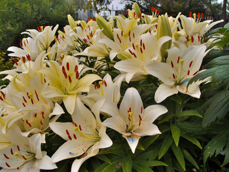 Similar image 21772226