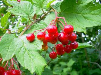 Similar image 21772545