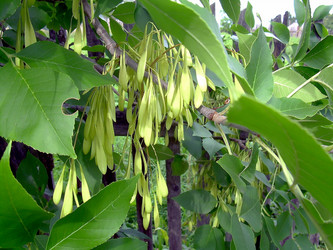 Similar image 21772546