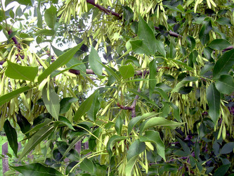 Similar image 21772547